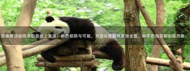 7m体育官网：在体育运动技术的基础上发展，新的极限与可能，为运动员提供更加全面、科学的指导和训练方案。