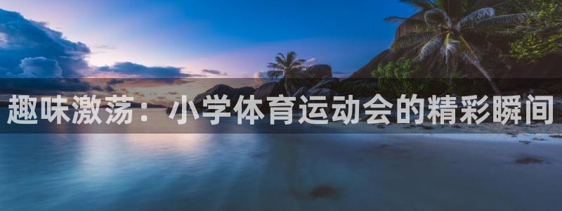 7m体育繁体版：趣味激荡：小学体育运动会的精彩瞬间