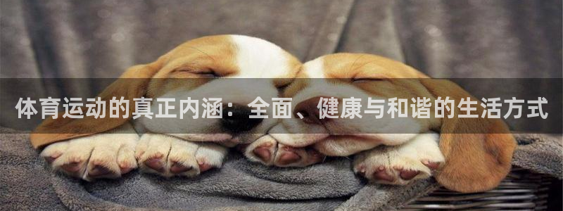 7m体育网：体育运动的真正内涵：全面、健康与和谐的生活方式